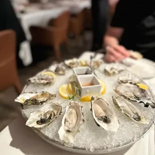 a platter of oysters on ice