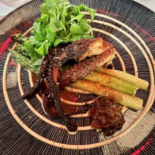 Wild Spanish Octopus