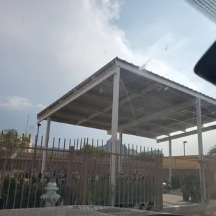 Large selection of plants