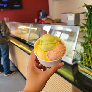 Durian, Pandan Leaf, Guava
