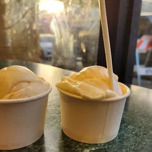 Mocha Chip/Mint Chip  |  Coconut/Mangosteen