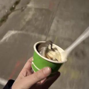 Chocolate and Vanilla Bean