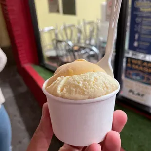 Durian and Mango Ice Cream