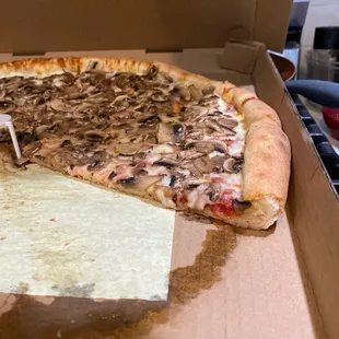 Mushroom pizza