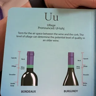 Fun little book on all kinds of wine jargon!