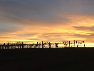 Rowe Ridge Vineyard & Winery