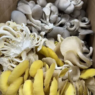 locally grown Cool mushroom farms mushrooms are the best!