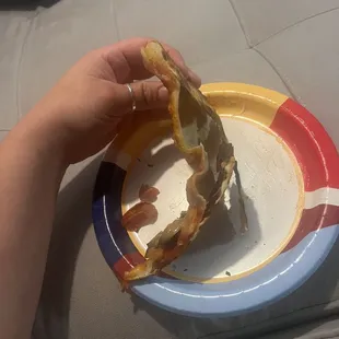 a person holding a piece of pizza