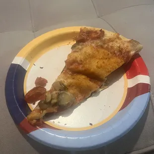 a slice of pizza on a plate
