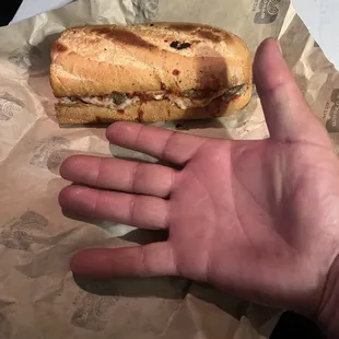 My hand in on top of the paper packaging. I'm 5'10". Pathetic