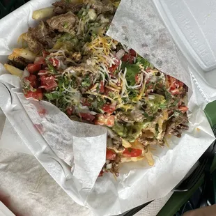 Carne asada fries