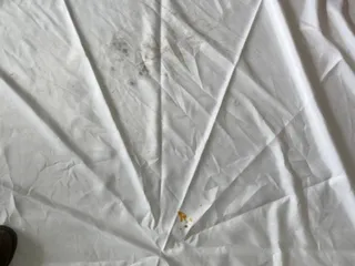 Big Easy Event Rentals