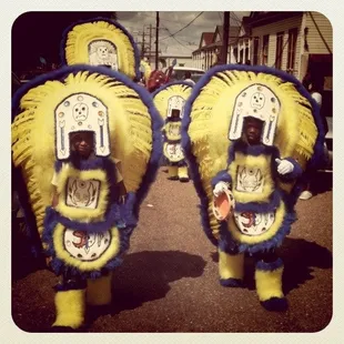 Mardi Gras Indians on Super Sunday