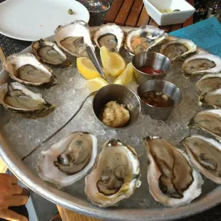 A variety of exquisite oysters