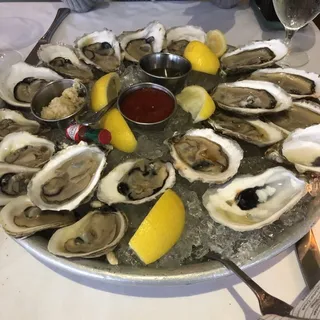 Oysters on the  Shell