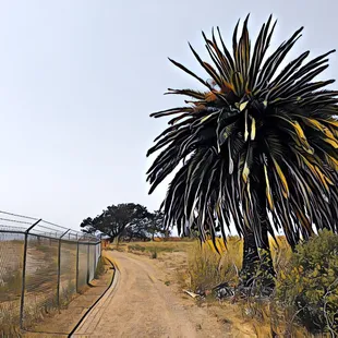 Mare Island San Pablo Bay Trail