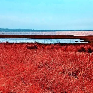 Mare Island San Pablo Bay Trail