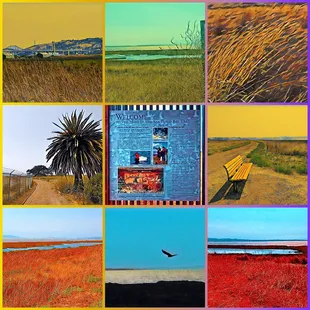 Montage of images from Mare Island San Pablo Bay Trail