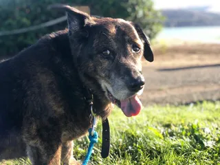 Alvarez Ninth Street Park