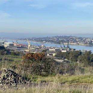Mare Island Shoreline Heritage Preserve