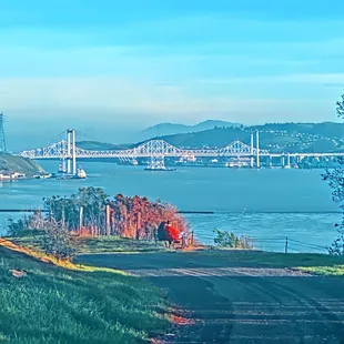 View of the Carquinez Bridge