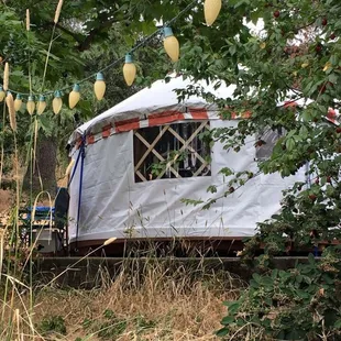 Ask about camping in the Yurt!!