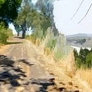 Mare Island Shore Preserve