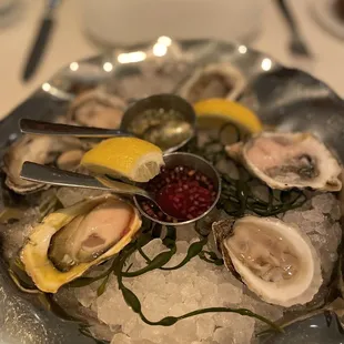 Really great oysters