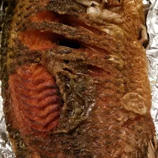 Tilapia