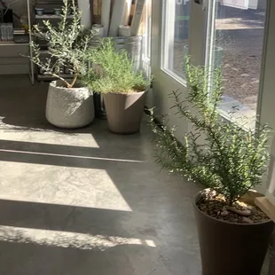 Marfa Art Supply Interior detail