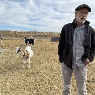 a man standing in front of a herd of goats