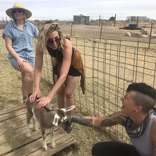 a woman petting a goat
