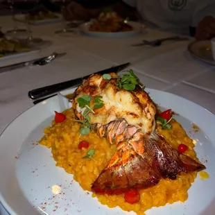 Lobster Risotto