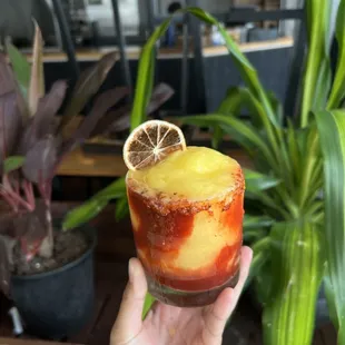 drink, oysters and mussels