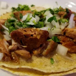Authentic carnitas taco