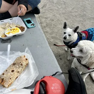 Biscuits and gravy plus hash browns and egg. Chorizo breakfast burrito.