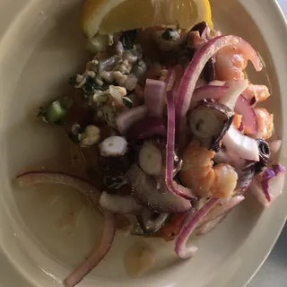 Shrimp