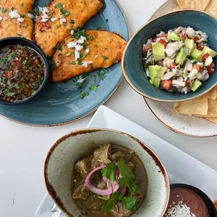 Quesabirria, Ceviche, Chile Verde Plate