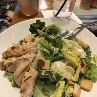 Chicken Caesar Salad**