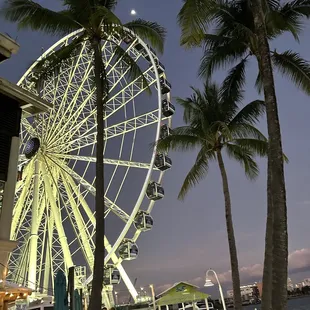 a ferris wheel and palm trees