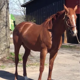 Check out this stud:-)