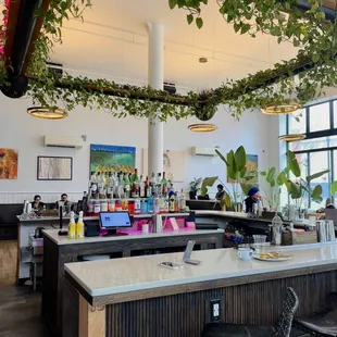 interior (bar area)