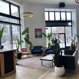 coffee shop interior