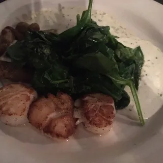 Scallops