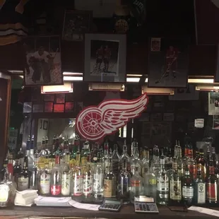 the detroit red wings logo