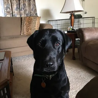 Duke C.