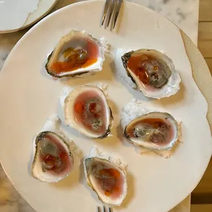 Oysters