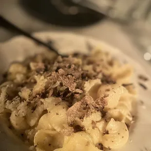 conchiglie: truffle conserva, shaved black truffle