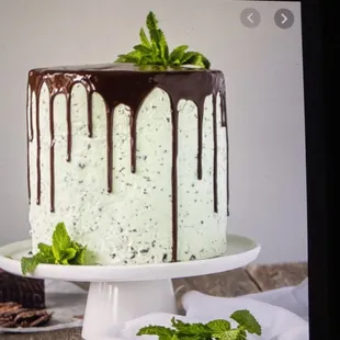 Cake picture we sent for estimate and order Mint Chocolate Chip for my daughters Birthday .