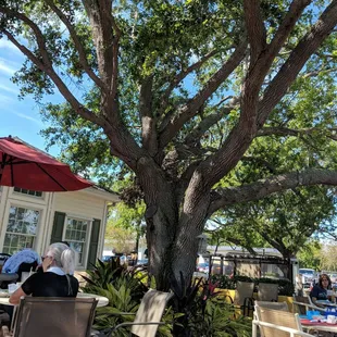 Outdoor seating and even some shade